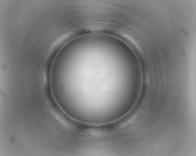X0000090950733200708021336