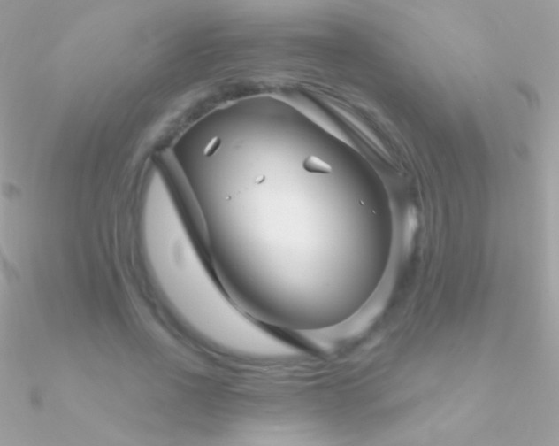 X0000090950734200708021336