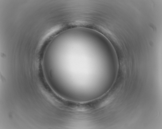 X0000090950735200708021336