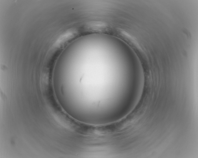X0000090950739200708021336