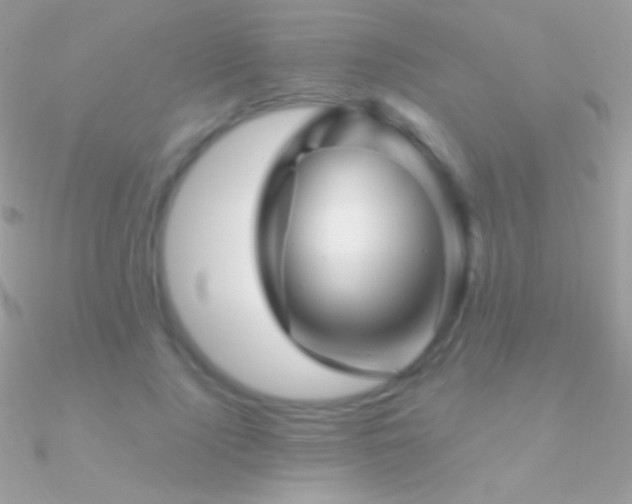 X0000090950740200708021336