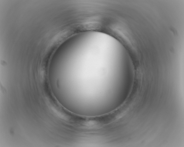 X0000090950741200708021336