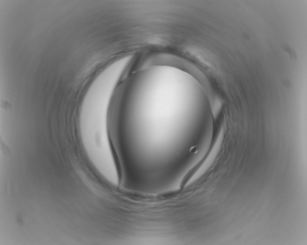 X0000090950742200708021336
