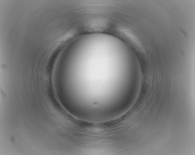 X0000090950743200708021336