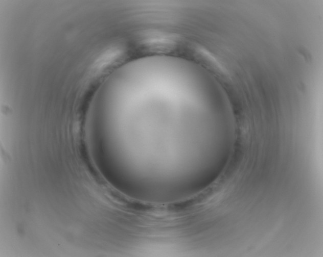 X0000090950745200708021336