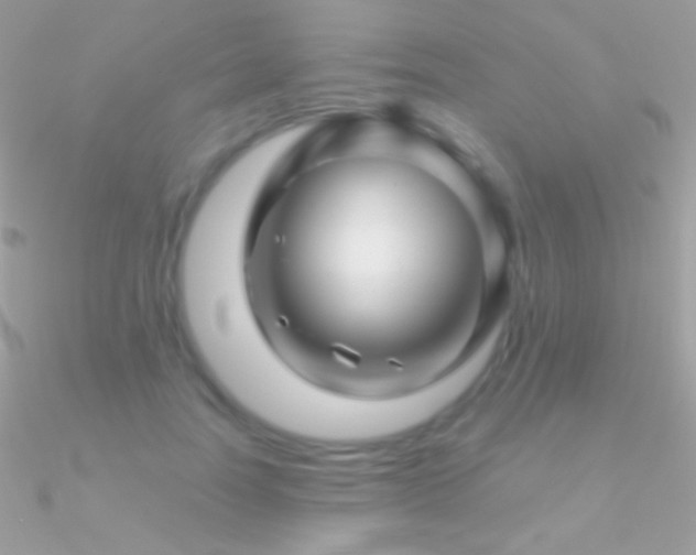 X0000090950746200708021336
