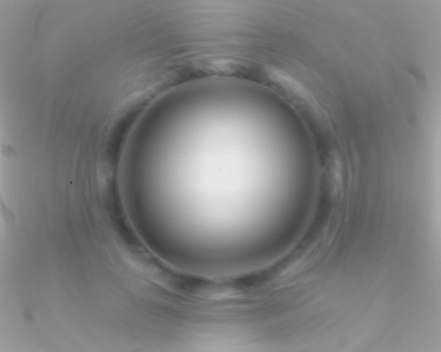 X0000090950747200708021336