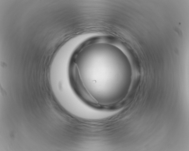 X0000090950748200708021336