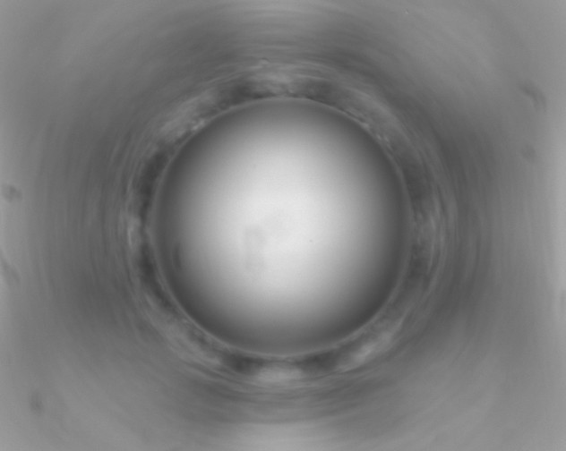 X0000090950749200708021336
