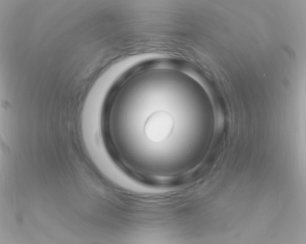 X0000090950750200708021336