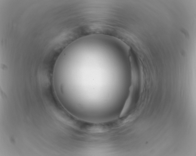 X0000090950751200708021336