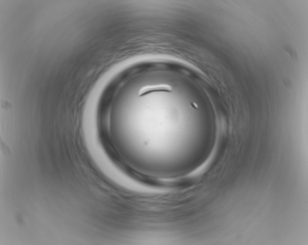 X0000090950752200708021336