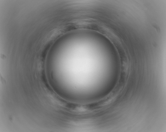 X0000090950753200708021336