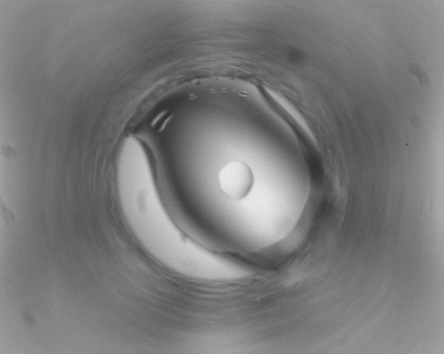 X0000090950754200708021336