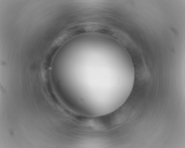 X0000090950755200708021336