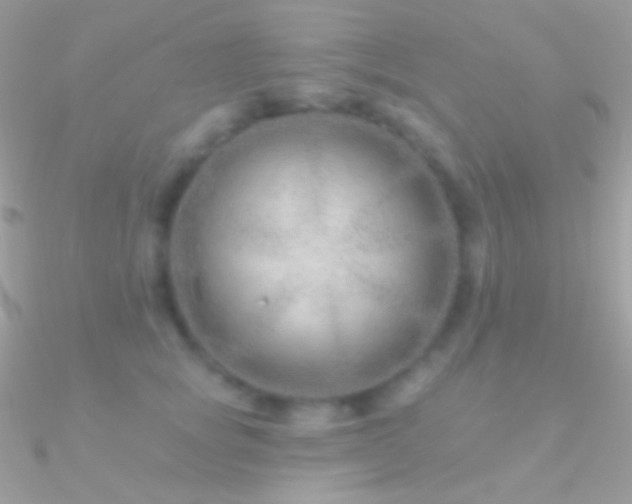 X0000090950757200708021336