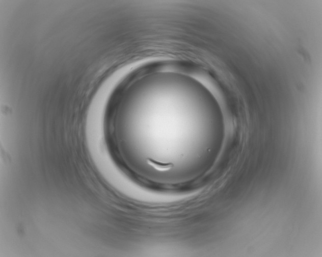 X0000090950758200708021336