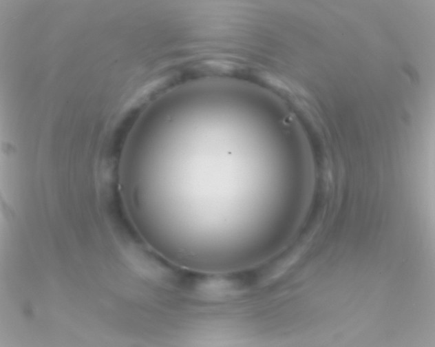 X0000090950759200708021336