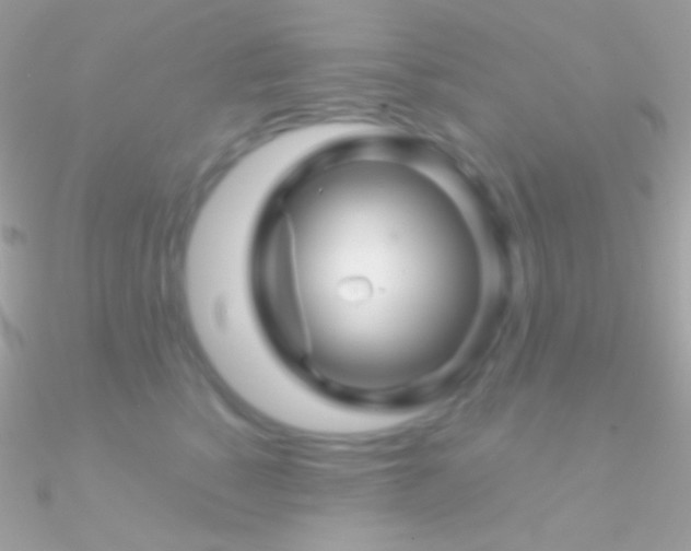X0000090950760200708021336