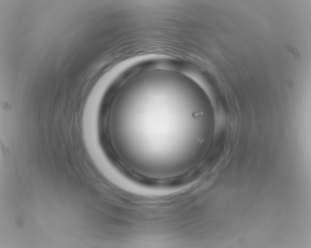 X0000090950762200708021336