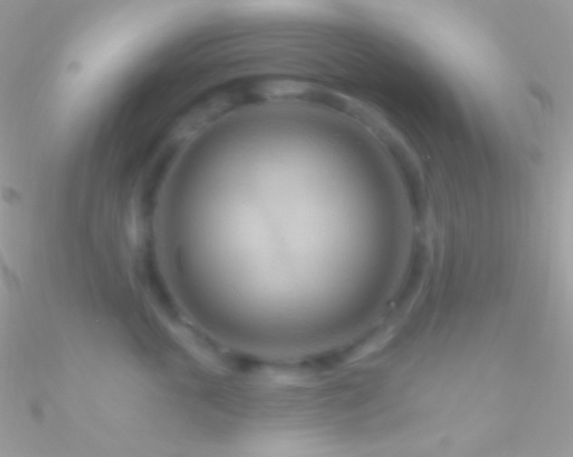 X0000090950763200708021336