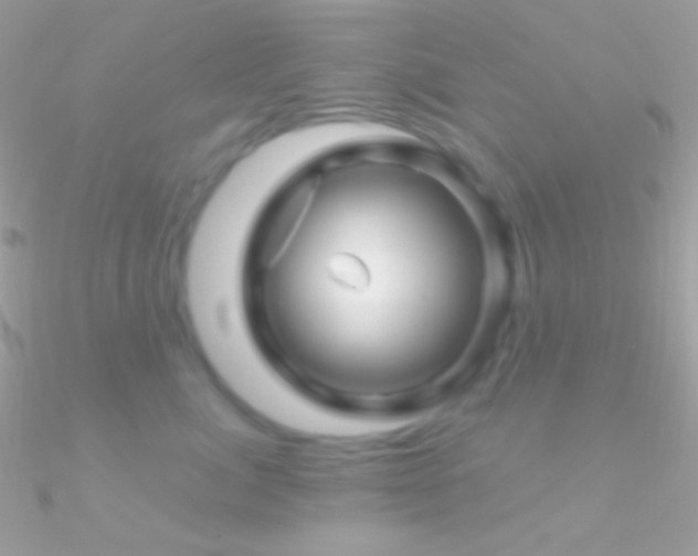 X0000090950764200708021336