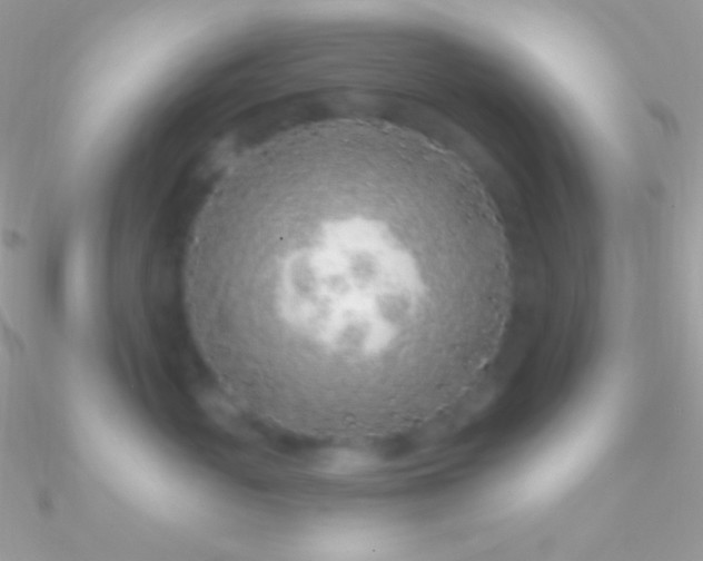 X0000090950765200708021336