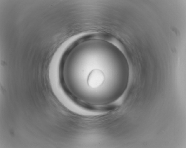 X0000090950768200708021336