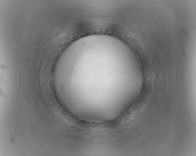 X0000090950769200708021336