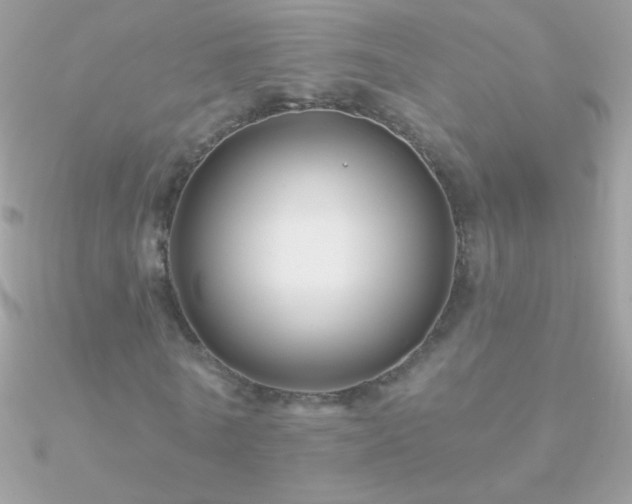 X0000090950770200708021336
