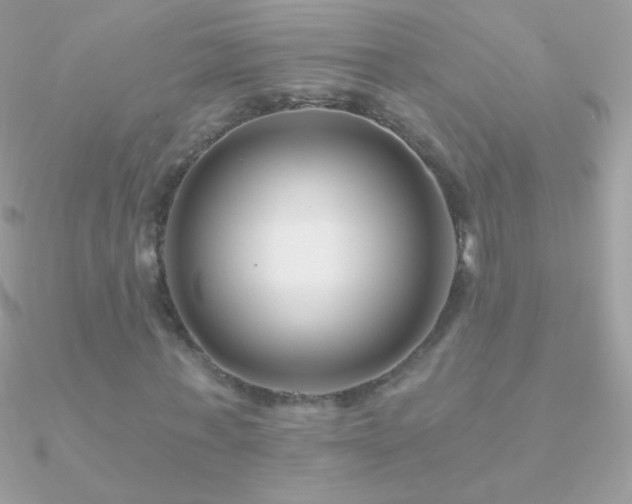X0000090950771200708021336