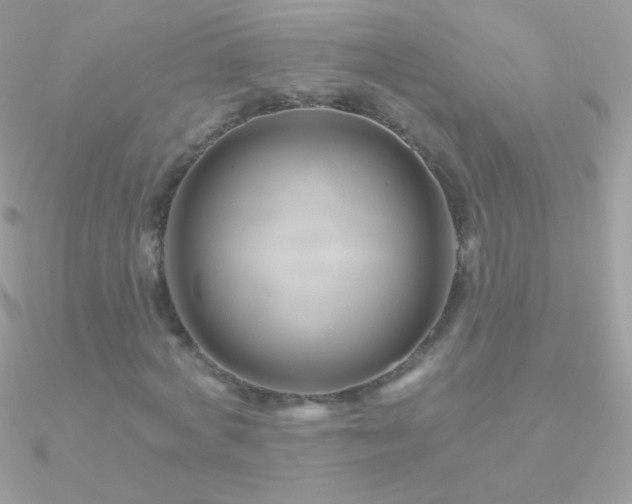 X0000090950772200708021336