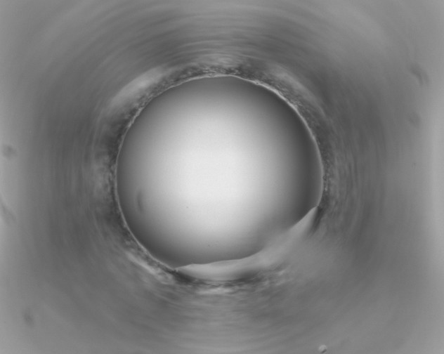 X0000090950773200708021336