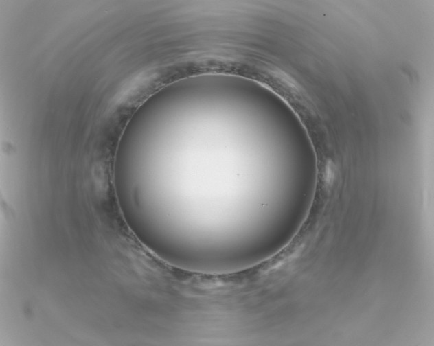 X0000090950774200708021336