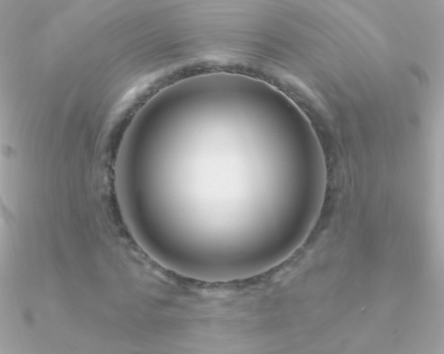 X0000090950776200708021336
