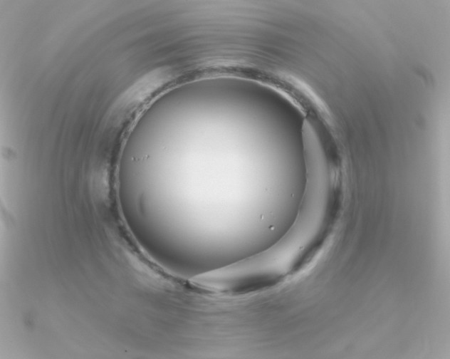 X0000090950777200708021336