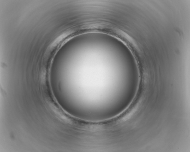 X0000090950778200708021336