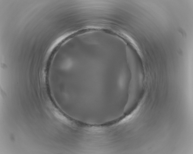 X0000090950779200708021336