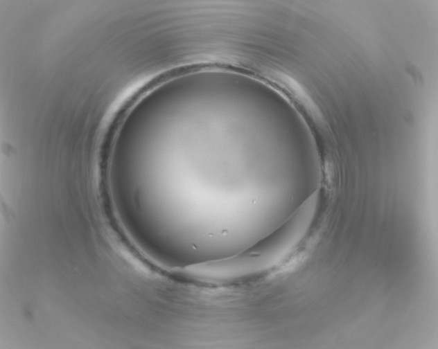 X0000090950780200708021336