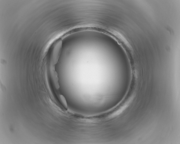 X0000090950781200708021336