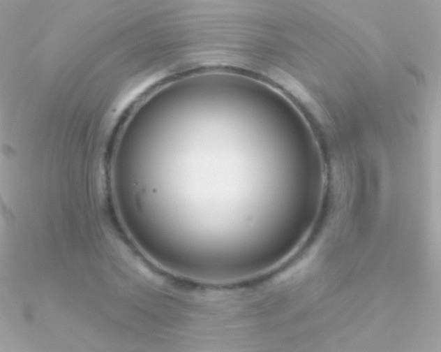 X0000090950782200708021336