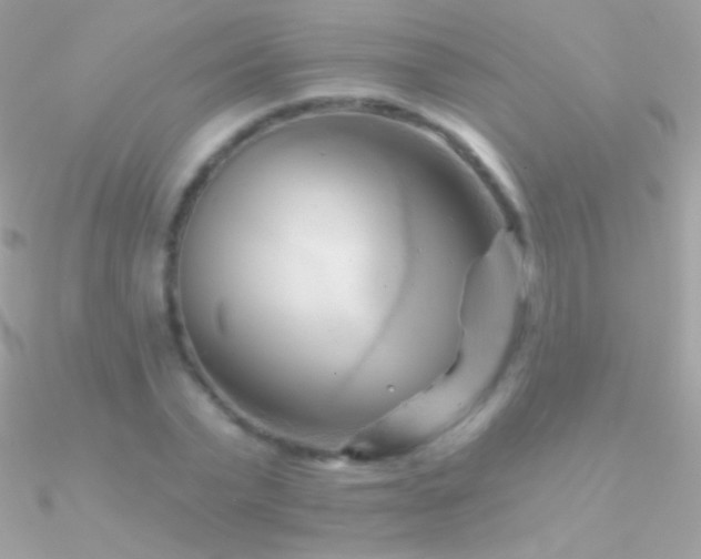 X0000090950783200708021336