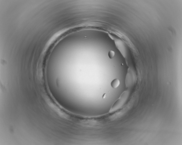 X0000090950784200708021336