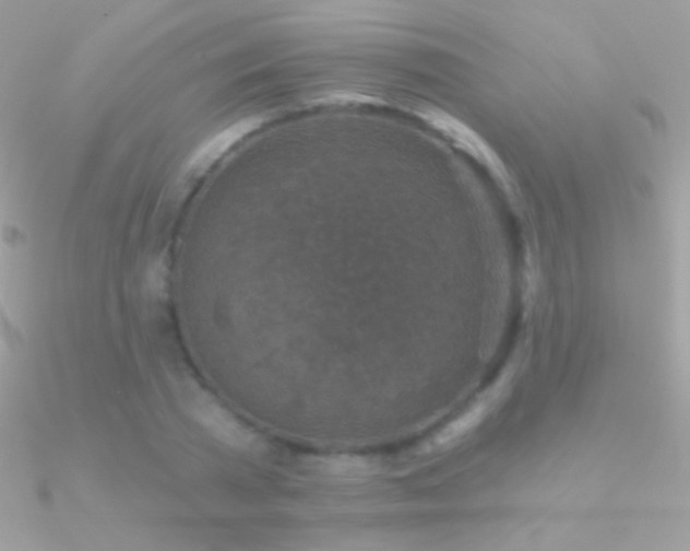 X0000090950785200708021336