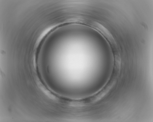 X0000090950788200708021336