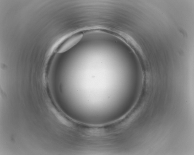 X0000090950789200708021336