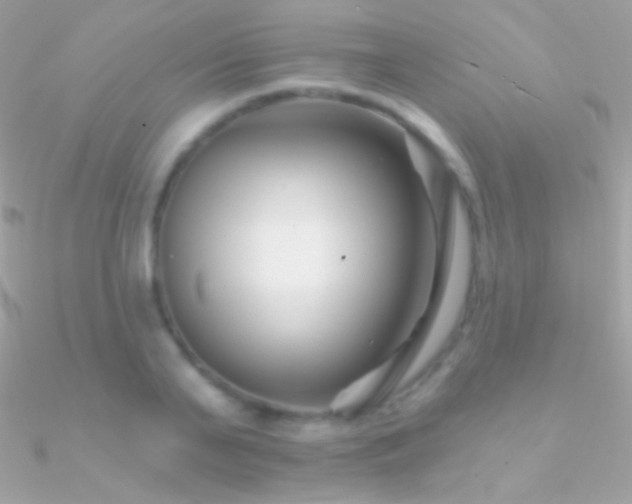X0000090950791200708021335