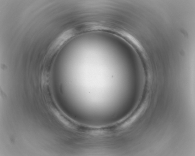 X0000090950793200708021335