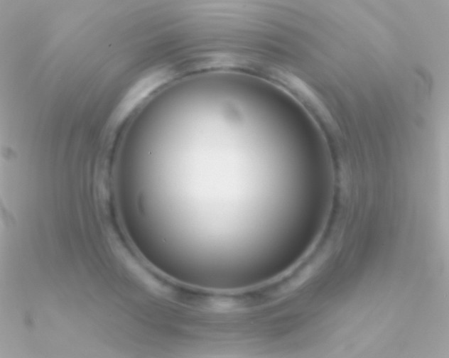 X0000090950794200708021335