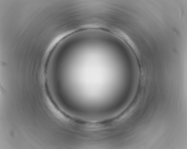 X0000090950795200708021335